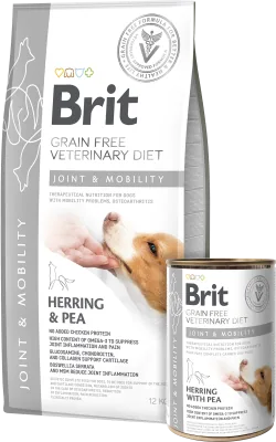 Miniatura técnica de Brit Joint & Mobility