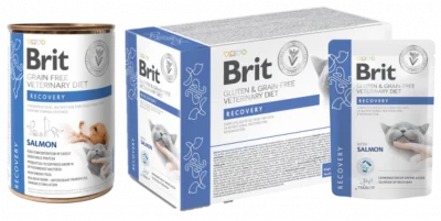 Miniatura técnica de Brit Recovery